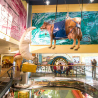 Madison Children's Museum