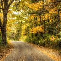 Fall Drive